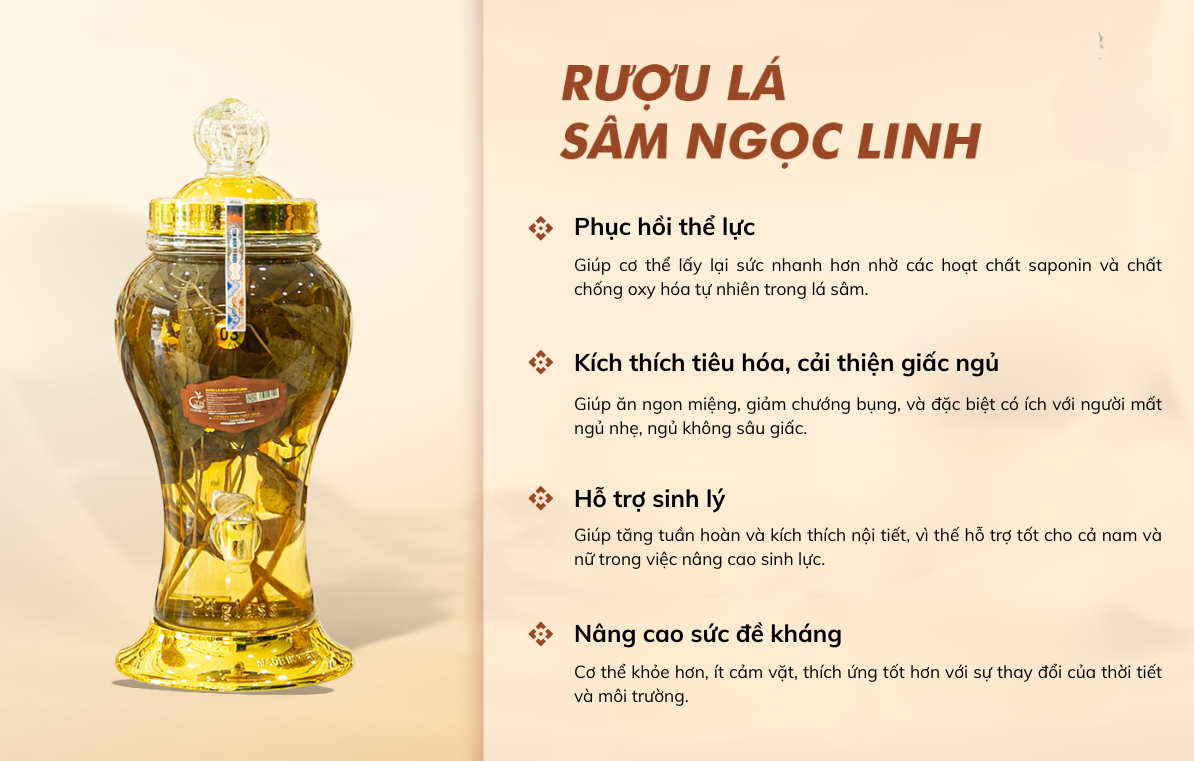 rượu lá sâm Ngọc Linh